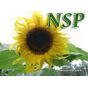 Природные продукты NSP для здоровья, долголетия и красоты !! Пройдите тест систем организма!!!!